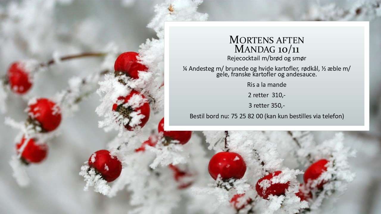 mortens aften1